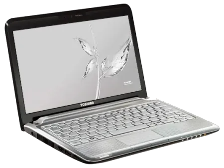 T210